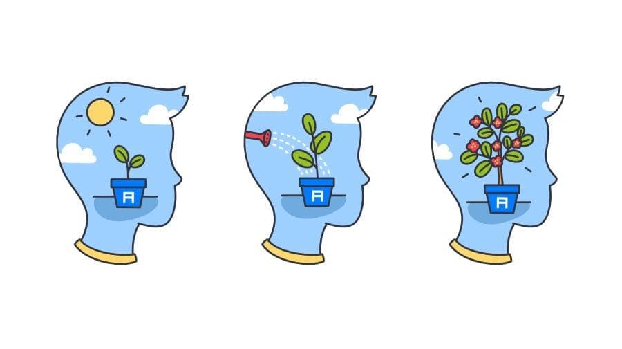 SEO Plan. How Long Does It Take To Promote A Website In Search Results?