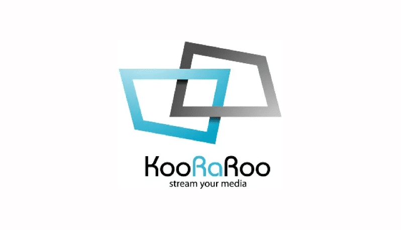 PPC Campaign Management - Case study