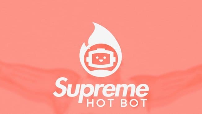 International PPC Case Study - Alconost